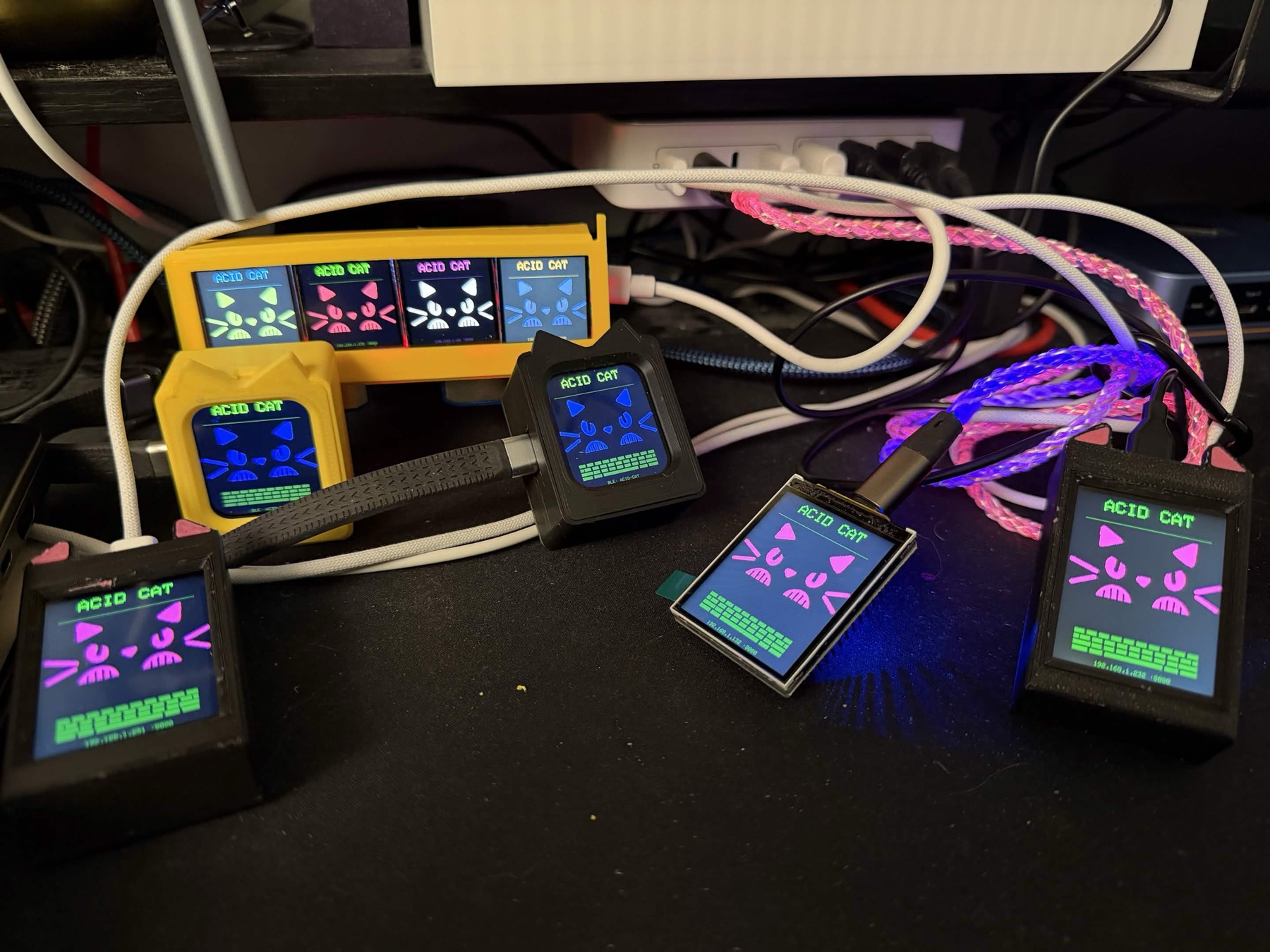 The ACID CAT family: six devices in different enclosures, all showing the cat screen